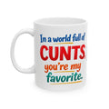 Personalised in a world full of cunts your my favourite mug, funny.