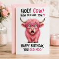 Funny Highland Cow Birthday Card – A5 Glossy Card, Blank Inside, Pink Envelope – “Holy Cow! How Old Are You?!”